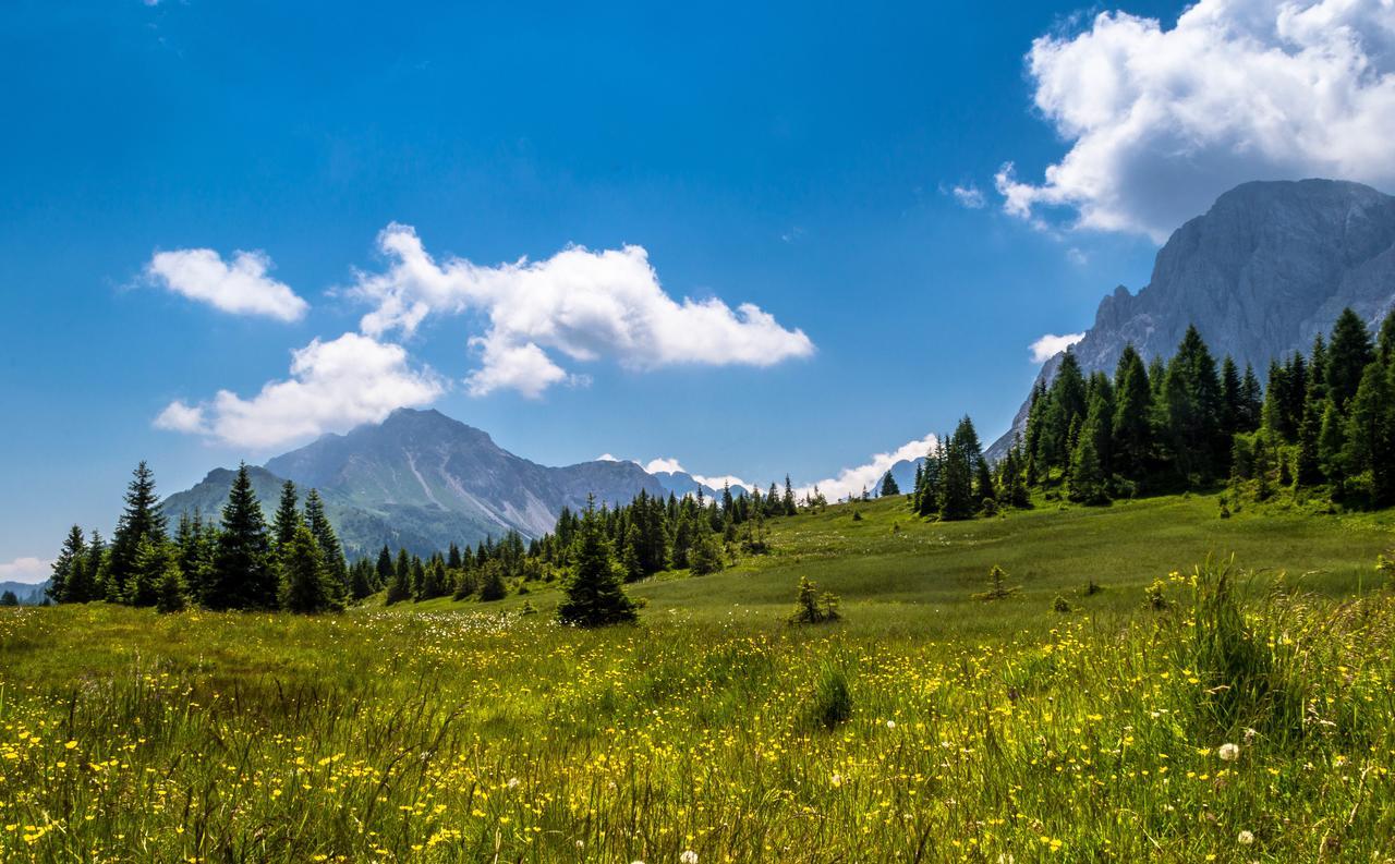 Residence Cavanis Wellness & Spa Sappada Zewnętrze zdjęcie