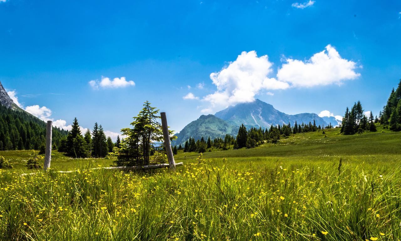 Residence Cavanis Wellness & Spa Sappada Zewnętrze zdjęcie
